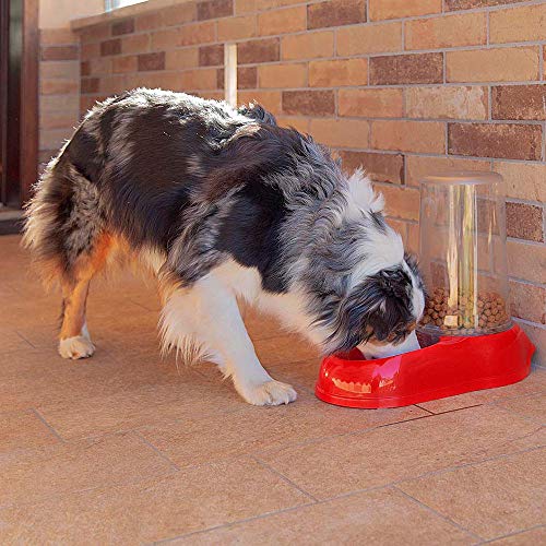 Ferplast Dispensador de Comida, croquetas o Agua para Perros Grandes AZIMUT 5500 5,5 L, Comedero Comida Seca o Agua, Plástico, Depósito Transparente, Base Antideslizante, 23 x 41 x h 37,5 cm Blanco