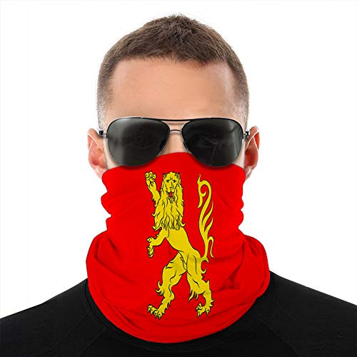 fgdhfgjhdgf 799 Pasamontañas Cubierta Transpirable Escudo Bufanda La Bandera de aveyron en occitania es una región de Francia Cubierta Protectora