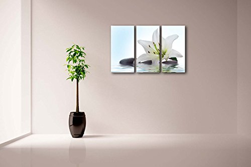 First Wall Art - Flores de Lirio Cuadros en Lienzo Flor Blanca y Piedras en el Agua Decoracion de Pared 3 Piezas Modernos Planta Mural Fotos para Salon,Dormitorio,Baño,Comedor