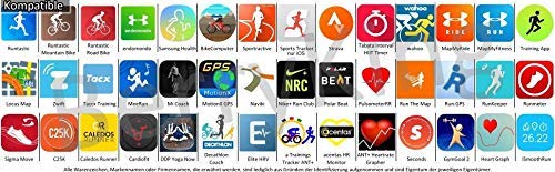 Fitness Prince © Heartbeat Ant Frecuencia cardíaca dual + Bluetooth Energía baja en tiempo real + Ebook gratuito - Compatible con Garmin Wahoo Polar Straunt RUNTASTIC ENDOMONDO Correa para el pecho del iPhone Tomtom