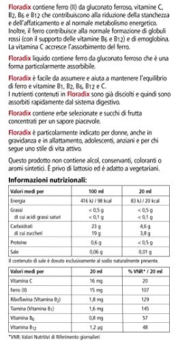 Floradix Liquid Iron Formula 500ML