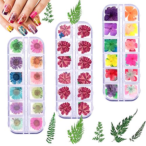 Flores Secas para Uñas, Real Flores Secas 3D Nail Art Stickers Decoración,Flores Secas de Uñas Naturales de arte real Seco Conjunto de Uñas Aplique 3D Accesorio para Decoración de uñas