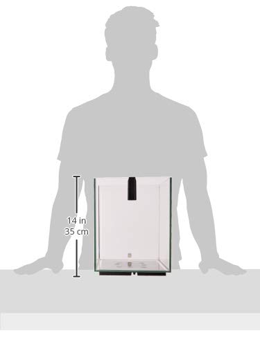 Fluval 10505 Acuario Chi II Mini