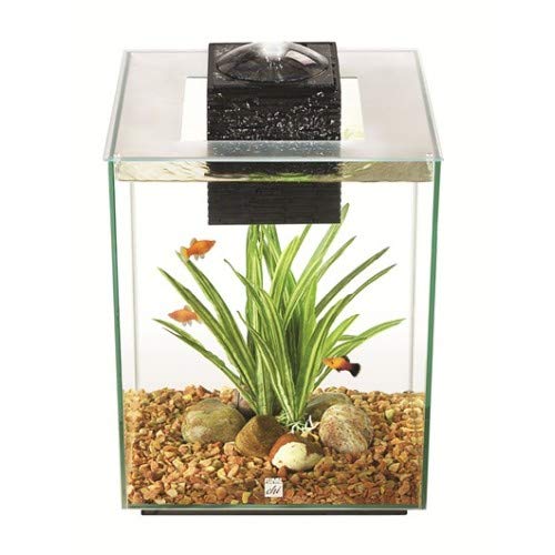 Fluval 10505 Acuario Chi II Mini