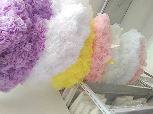 FOLOBE Traje de Tutú de Mujer Danza de Ballet Falda Hinchada de Múltiples Capas Adulto Lujoso Falda de Gasa Suave Falda de Tul Tutu