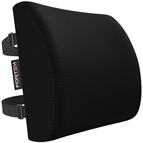 FORTEM Soporte Lumbar Cojín de Postura, Almohada para Respaldo de Silla de Oficina, Asiento de Coche, Viaje, Espuma Memoria de Forma con Funda Lavable