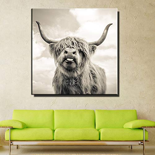 Fotografía retrato blanco y negro Highland vaca ganado animales carteles e impresiones arte de pared lienzo pintura cuadros sala de estar oficina decoración del hogar