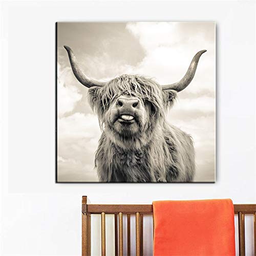 Fotografía retrato blanco y negro Highland vaca ganado animales carteles e impresiones arte de pared lienzo pintura cuadros sala de estar oficina decoración del hogar