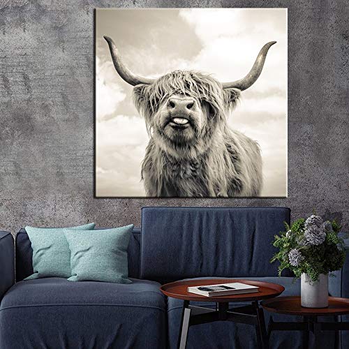 Fotografía retrato blanco y negro Highland vaca ganado animales carteles e impresiones arte de pared lienzo pintura cuadros sala de estar oficina decoración del hogar
