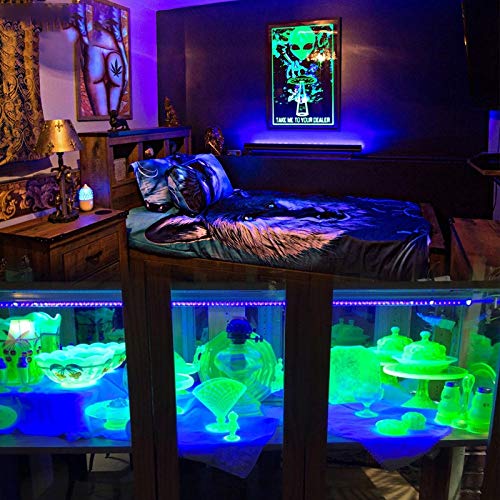 Fransande 10W Luz de Discoteca UV LED Tubo Integrado de Luz Negra LáMpara de Curado UV Tubo de Luz LED Violeta para Pintura Corporal de Fiesta de Luz Negra (Enchufe de la EU)