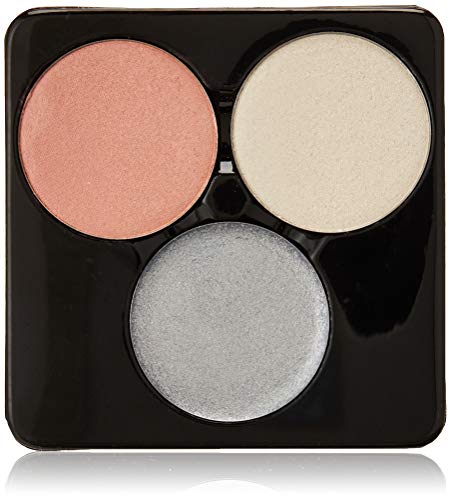 Freedom Makeup – HIGH Ligh Ter palé – proartist Light Packs – HD Cold Light 2