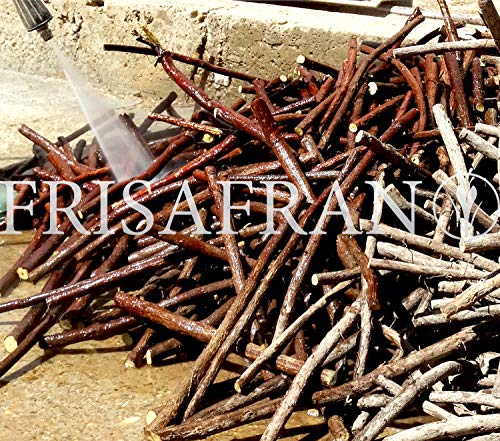 FRISAFRAN - Regaliz de palo Ecologico certificado/FRESCO - 500Gr