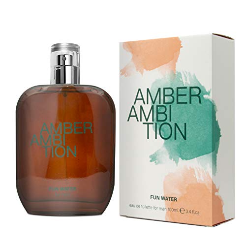 Fun Water Amber Ambition - Fragancia para hombre (100 ml)