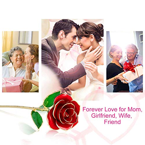 FUNINGEEK Rosa 24K,Rosa Eterna Flores Chapadas en Oro con Caja de Regalo para el Día de San Valentín Día de la Madre,Navidad,Aniversario,Esposa,Mom (Rojo)