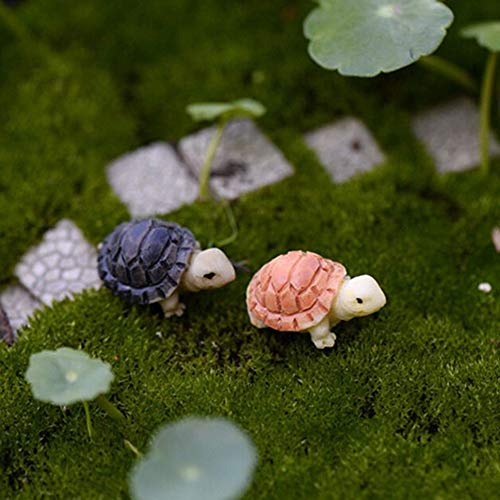FUSSUF 2pcs Tortuga Modelo for la casa de muñeca Hada del jardín miniaturas terrario Inicio del Escritorio de la decoración del Paisaje Micro Suculentas