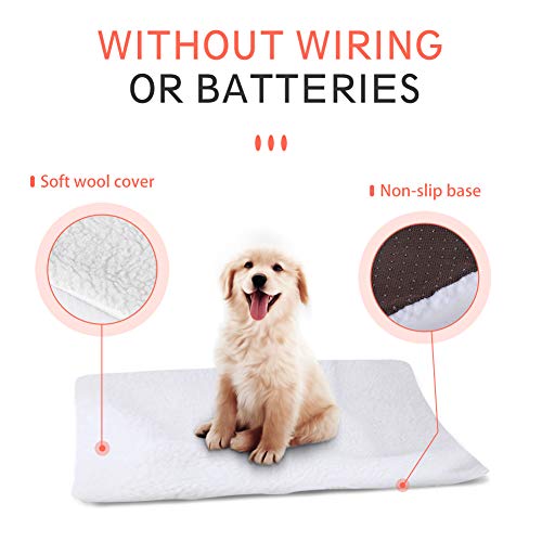 Fyore Manta autocalentable para Gatos & Perros Manta térmica Calentar Mascota Cobija Alfombra de Cama para Mascotas Auto calefacción para Mascotas, Perros y Gatitos para Viajes o casa,58x43 cm