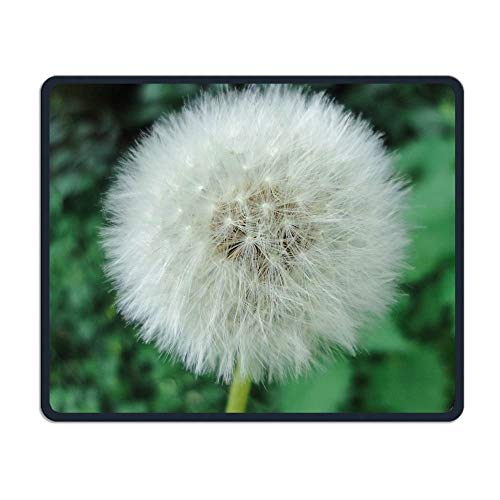 Gaming Mouse Pad, Dandelion Flowers Mouse Pad, Computadora portátil para Juegos, móvil, portátil, CuteMouse Pad Mat para Mujeres, Hombres, en casa o en el Trabajo
