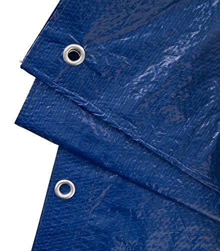 GardenMate 2 x 3 m 90 g/m2 Lona de protección Universal azul/verde | Funda protectora | Lona impermeable