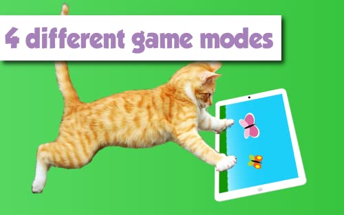 Gatos Felices un juego para Gatos