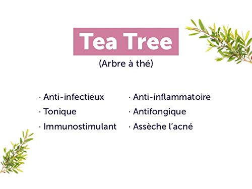 Gel desinfectante antibacteriano GEL DE DUCHA (Pack X 3) Ultra Hidratante Terapéutico concentrado en Aceite Esencial de Árbol de Té Purificante Anti hongos Anti Acné Ge de Baño (3 X 200 ml)