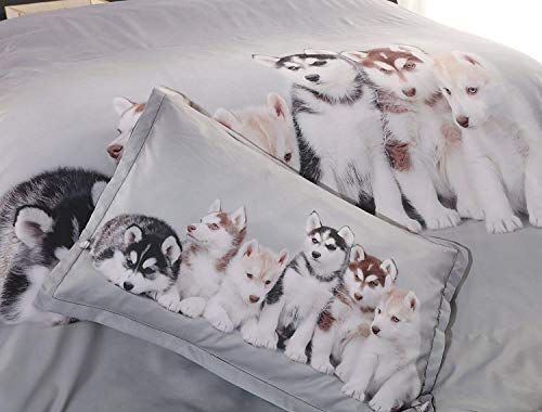 GFYL Funda de edredón con diseño de Huskies, Niño Creativo 3D Animal Husky Imprimiendo Funda nórdica y Funda de Almohada Tener Cremallera, Cuidado Ultra Suave y Fácil,200x220cm(59.1x86.6inches)