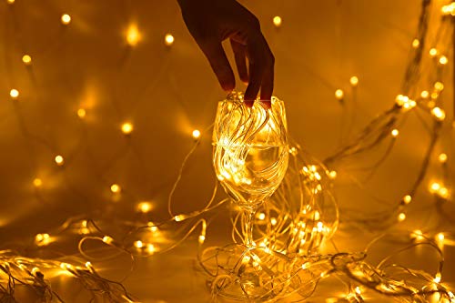 Gigonic - Guirnalda de luces led (100 x 160 ledes, luz blanca cálida, para interior y exterior), Luz blanca cálida y fría, 9 modos., 320LED