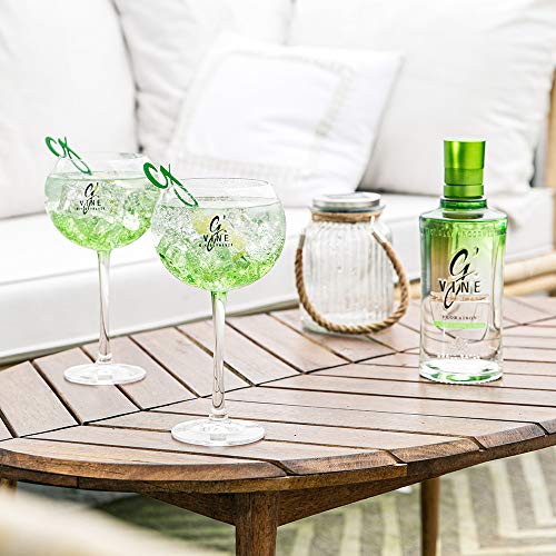 Ginebra G’Vine Floraison 700 ml