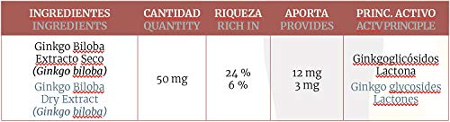 Ginkgo biloba 450 mg. 100 tabletas