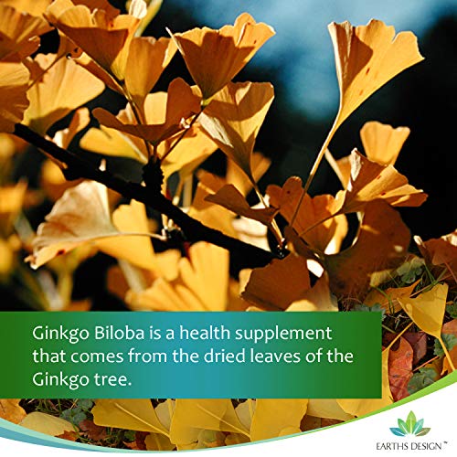 Ginkgo Biloba 6000mg - Extracto de la Hoja del Ginkgo - Para Hombres y Mujeres - Apto Vegetarianos - 120 Pastillas (Suministro Para 4 Meses) de Earths Design