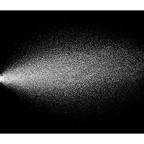 Giovanni - Spray para Alisar con Plancha 2Chic - Queratina Brasileña y Aceite de Argan