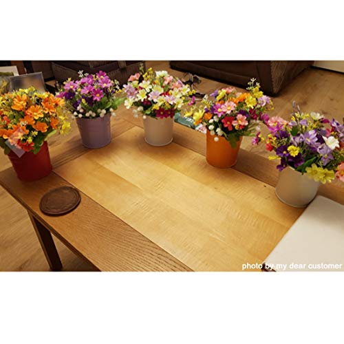 GIOVARA Maceta de Metal Colgante Florero con Soporte Extraíble para Balcón Jardín Patio Cubo Macetero Plantador con Orificio de Drenaje (10 macetas Surtido de 10 Colores)