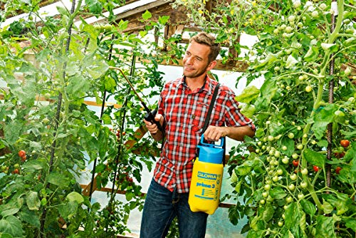 Gloria Prima 3, pulverizador de presión de 3 litros de Capacidad con Boquilla de Cono Hueco de latón Regulable