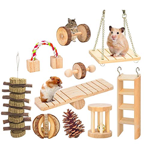 Glossia Juego de 10 Piezas Hamster Chew Toys Jerbos de Madera Natural Ratas Chinchillas Accesorios Ejercicio Campana Rodillo Dientes Molar Juguete para Conejillo de Indias Conejos