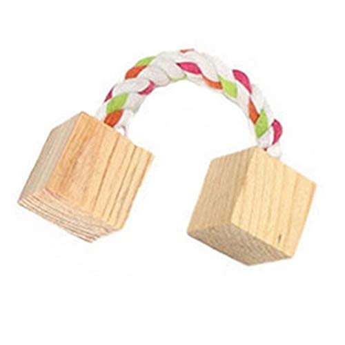 Glossia Juego de 10 Piezas Hamster Chew Toys Jerbos de Madera Natural Ratas Chinchillas Accesorios Ejercicio Campana Rodillo Dientes Molar Juguete para Conejillo de Indias Conejos