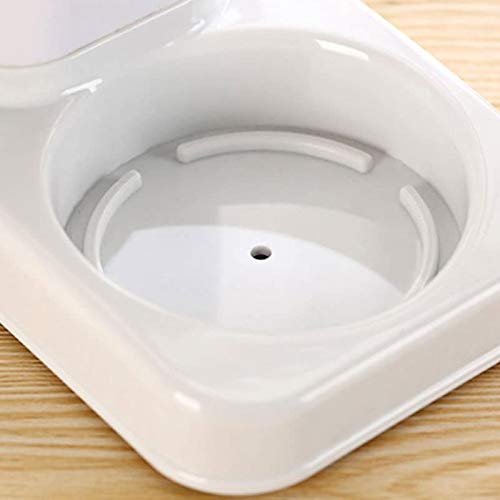 Glossia Portacepillos de Dientes Creativo y Simple Creativo Portacepillos de Dientes Set Taza de Enjuague Bucal Taza Doble Juego de Lavado Taza de Pareja