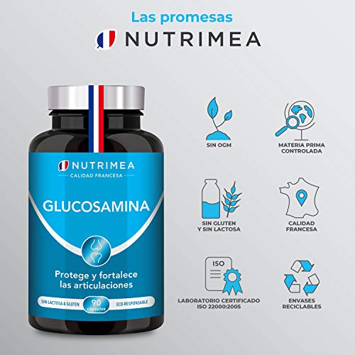 Glucosamina Complex con Condroitina MSM | Suplemento Antiinflamatorio Natural | Fabricado en Francia | Fortalece Huesos Articulaciones y Cartílago | Alivia Dolor Muscular