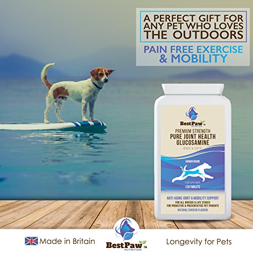 Glucosamina para perros y gatos 120 comprimidos - Vitaminas para el alivio del dolor en las articulaciones con condroitina - Suplemento natural Ayuda para el cuidado de mascotas para la movilidad