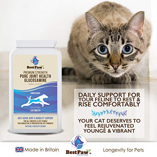 Glucosamina para perros y gatos 120 comprimidos - Vitaminas para el alivio del dolor en las articulaciones con condroitina - Suplemento natural Ayuda para el cuidado de mascotas para la movilidad