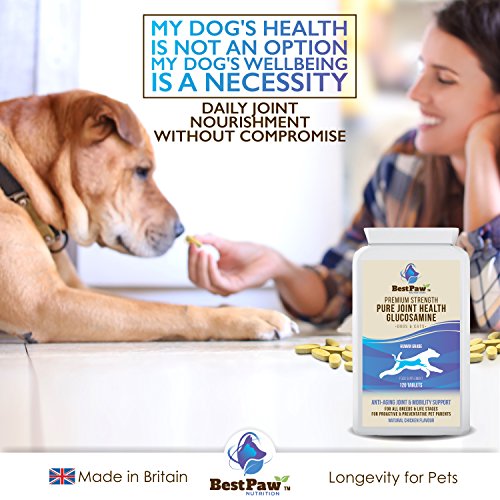 Glucosamina para perros y gatos 120 comprimidos - Vitaminas para el alivio del dolor en las articulaciones con condroitina - Suplemento natural Ayuda para el cuidado de mascotas para la movilidad
