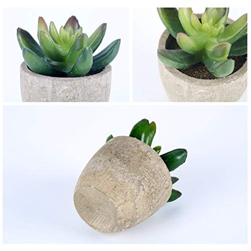 GoMaihe Plantas Suculentas Artificiales, 6 Piezas, Planta Artificial Decorativa, Adecuado para El Hogar Oficina Decoración Jardín Baño Cocina Balcón Planta Falsa Decorativas