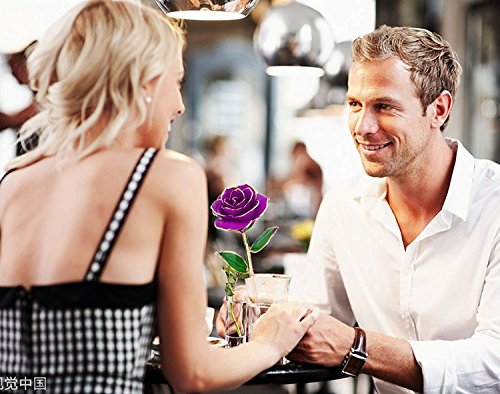 Gomyhom Rosa 24K, Rosa de Oro Chapada en Oro con Caja de Regalo para Madre para Amor en el Día de San Valentín para Aniversario para Amigos como Un Regalo de Cumpleaños (Púrpura)