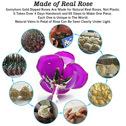 Gomyhom Rosa 24K, Rosa de Oro Chapada en Oro con Caja de Regalo para Madre para Amor en el Día de San Valentín para Aniversario para Amigos como Un Regalo de Cumpleaños (Púrpura)
