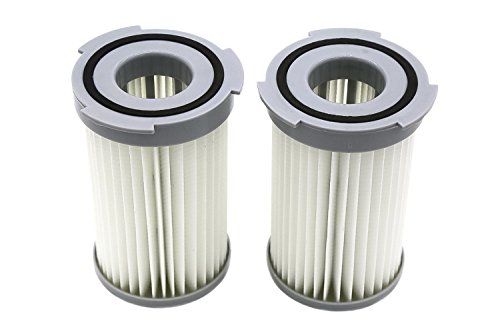 Green Label Empaque de 2 Filtro HEPA para Electrolux. Reemplaza a EF75B, AEF75B, F120