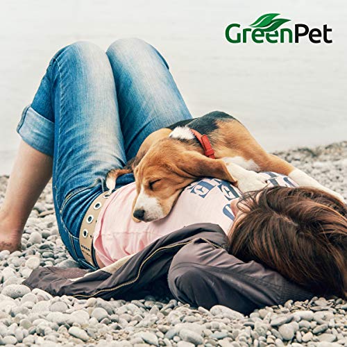 GreenPet Aceite de salmón 5 Litros para Perros, Gatos y Caballos, ácidos grasos omega-3, producto puro 100% natural, ideal como complemento alimenticio diario, suplemento de barf