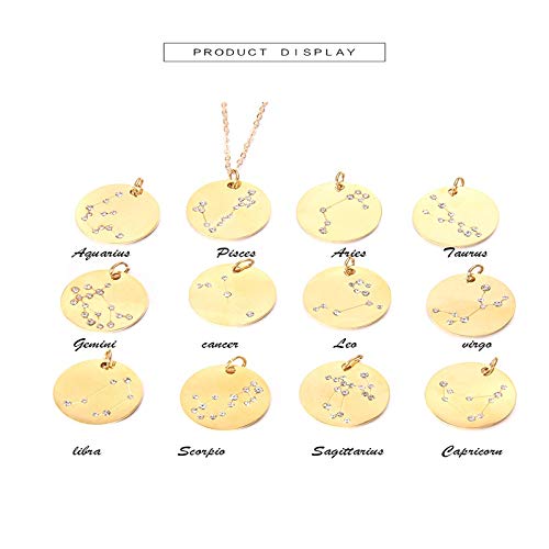 GSOLOYL Collar de la declaración del horóscopo de la astrología for gótica Mujeres Joyas de Oro 12 Constelaciones Collar Redondo del Encanto del ahogador Regalo (Metal Color : Aquarius)