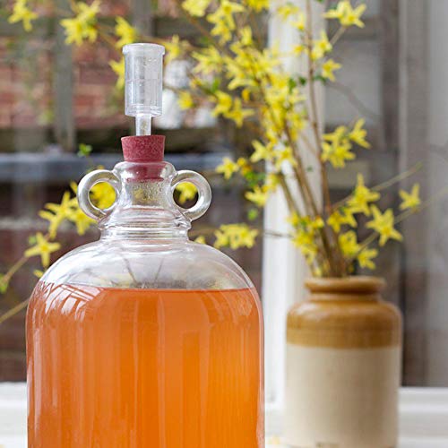 Guanici Fermentación Airlock Esclusa de aire de fermentación Cerveza Artesanal Airlock Bubbler para preservar el hogar, elaborar cerveza, hacer vino, fermentar chucrut, kimchi 4 Piezas (transparente)