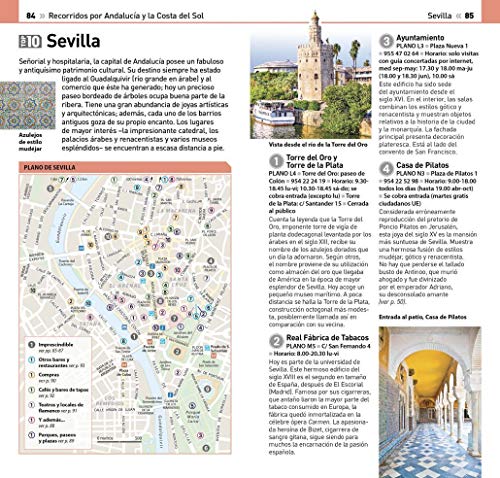 Guía Visual Top 10 Andalucía y la Costa del Sol: La guía que descubre lo mejor de cada ciudad (Guías Top10)