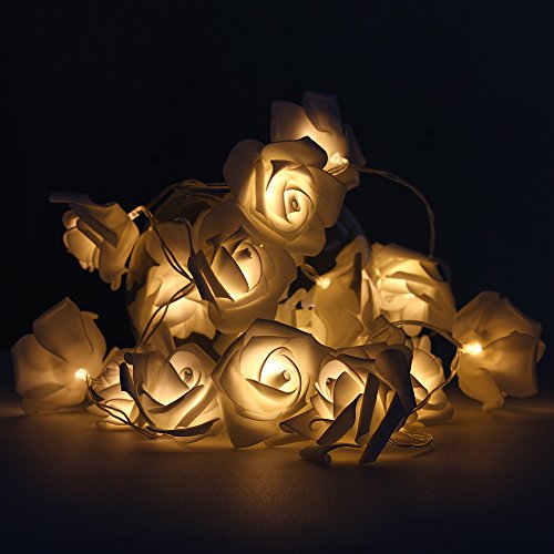 Guirnalda de luces LED - ELINKUME 2,5M/8,2 pies 20 LED rosas luces de hadas Con pilas blanco cálido decoración de flores románticas para San Valentín, Navidad, bodas, fiestas