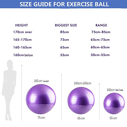 GYMBOPRO Fitness Pelota de Ejercicio - Bola Suiza con Bomba de Inflado,Bola de Yoga antirrebote y Antideslizante,Bola de Equilibrio para Gimnasio Pilates Gimnasio de Yoga (55 cm,Rosado)