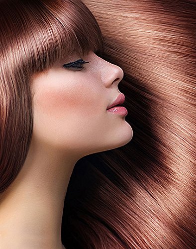 Hair Xpertise - Aceite de argán marroquí, tratamiento para cabello dañado, nutre e hidrata el cabello seco, repara, suaviza y da vida a tu cabello. Para todo tipo de cabello, producto vegano, 100 ml.